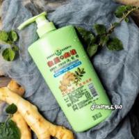 雲林縣農特產生薑肉桂洗髮精500ml*1瓶